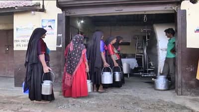 Kutch: પશુપાલકો માટે સારા સમાચાર સરહદ ડેરીએ ફરી દુધના ફેટના ભાવમાં 10નો વધારો કર્યો