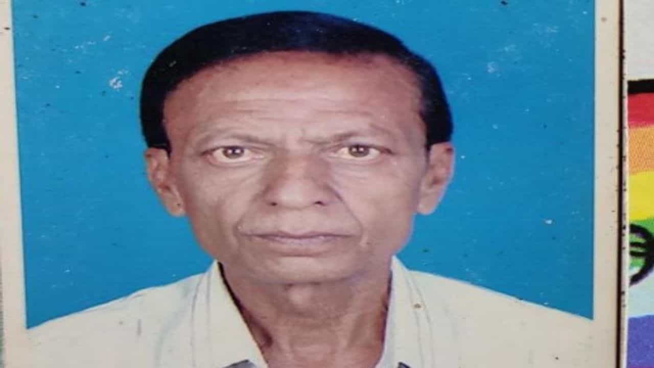 રાજકોટના મેયરના વોર્ડમાં જ રખડતા ઢોરનો ત્રાસ, એક વૃદ્ધનો જીવ ગયો