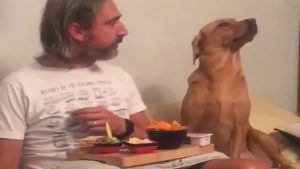 Dog Funny Video: માલિકની સામે કૂતરાએ કર્યું આવું અદ્દભુત નાટક, જોઈને તમે હસવા લાગશો
