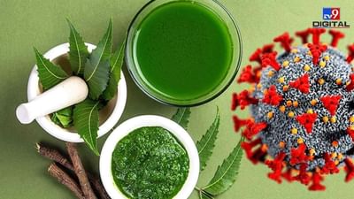 સદીઓથી આયુર્વેદિક સારવારમાં ઉપયોગમાં લેવાતો લીમડો હવે કોરોના વાયરસથી પણ રક્ષણ આપશે. નવા સંશોધનમાં એવું કહેવામાં આવ્યું છે કે લીમડાની છાલથી કોવિડ-19ને રોકી શકાય છે. આ દાવો યુનિવર્સિટી ઓફ કોલોરાડો એન્શુટ્ઝ મેડિકલ કેમ્પસ અને ઈન્ડિયન ઈન્સ્ટિટ્યૂટ ઓફ સાયન્સ એજ્યુકેશન એન્ડ રિસર્ચ કોલકાતાના વૈજ્ઞાનિકોએ તેમના તાજેતરના સંશોધનમાં કર્યો છે, જાણો લીમડો કોરોના વાયરસના સંક્રમણ સામે રક્ષણ આપવામાં કેવી રીતે મદદ કરે છે.