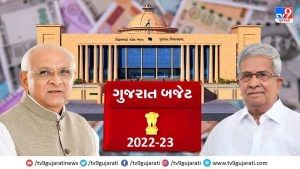 Gujarat Budget 2022 : ઉર્જા અને પેટ્રોકેમિકલ્સ વિભાગ માટે રૂ. 15,568 કરોડની જોગવાઇ, ખેતી માટે દિવસે વીજળી પૂરી પાડવાનો મુખ્ય ઉદ્દેશ