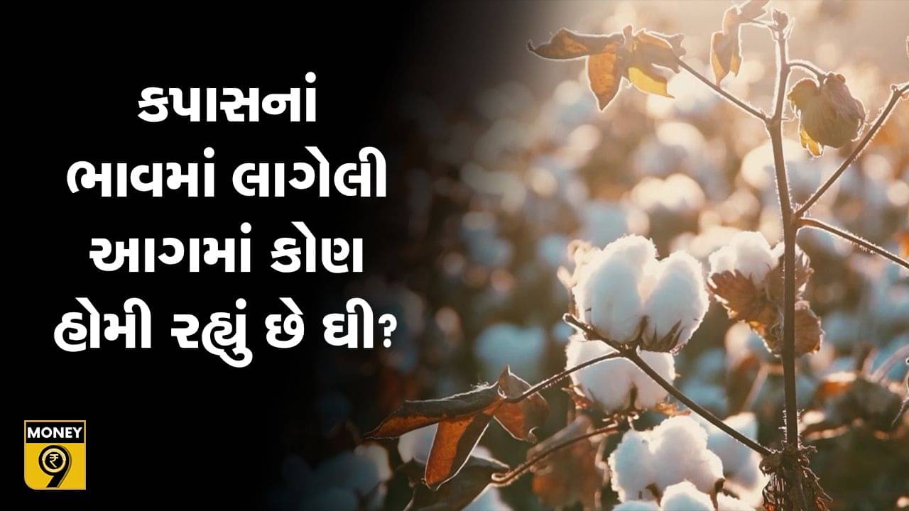 MONEY9: રશિયા-યુક્રેન ઘર્ષણે ઘરઆંગણે કપાસમાં લગાડી આગ, કાપડના તાણાવાણા વિખાયા