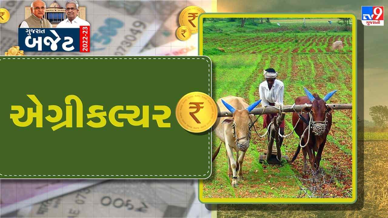 Gujarat Budget 2022 : કૃષિ, ખેડૂત કલ્યાણ અને સહકાર વિભાગ માટે કુલ રૂ. 7737 કરોડની જોગવાઇ