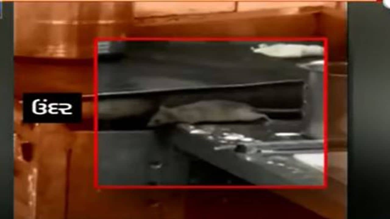 Ahmedabad: સિવિલ હોસ્પિટલની કેન્ટીનમાં ઉંદરનો વીડિયો વાયરલ થયા બાદ કાર્યવાહી, સુપ્રિટેન્ડેન્ટે કેન્ટીનને બંધ કરવાના આદેશ આપ્યા