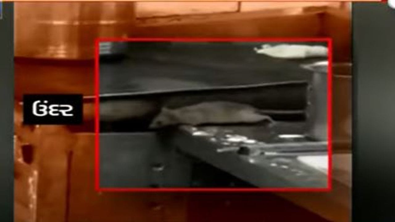 Ahmedabad: સિવિલ હોસ્પિટલની કેન્ટીનમાં ઉંદરનો વીડિયો વાયરલ થયા બાદ કાર્યવાહી, સુપ્રિટેન્ડેન્ટે કેન્ટીનને બંધ કરવાના આદેશ આપ્યા Ahmedabad: સિવિલ હોસ્પિટલની કેન્ટીનમાં ઉંદરનો વીડિયો વાયરલ થયા બાદ કાર્યવાહી, સુપ્રિટેન્ડેન્ટે કેન્ટીનને બંધ કરવાના આદેશ આપ્યા