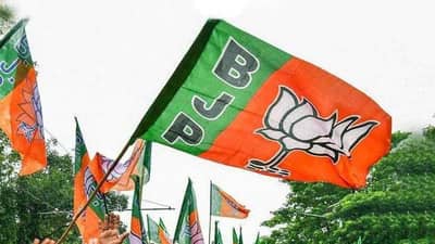 UP Election Exit Poll Result 2022: યુપીમાં ફરી બનશે ભાજપની સરકાર કે સમાજવાદી પાર્ટીને મળશે બહુમતી ?