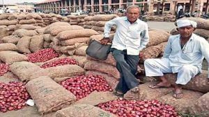 Bhavnagar : ડુંગળીના મબલખ ઉત્પાદનથી ખેડૂતો કફોડી સ્થિતિમાં મુકાયા, યોગ્ય ભાવ ન મળતા આર્થિક નુકશાન