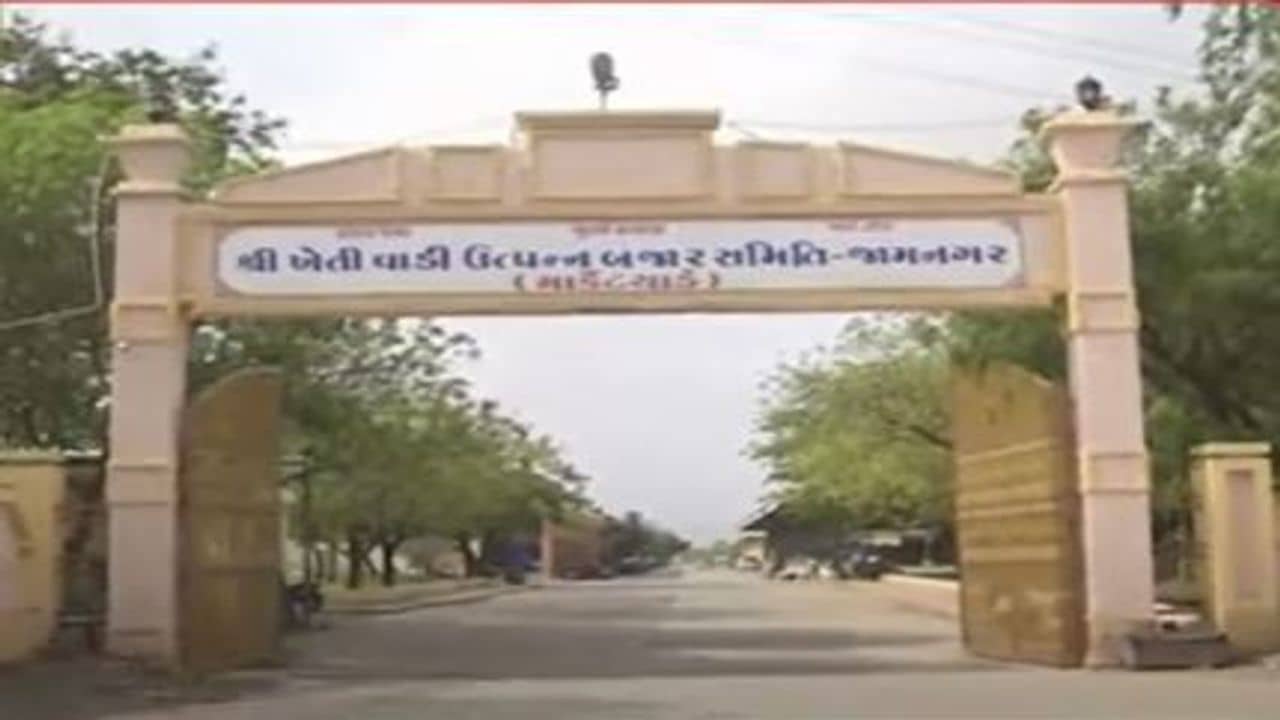 Jamnagar: હાપા માર્કેટિંગ યાર્ડ રાઇની આવકથી ઊભરાયુ, સારા ભાવ મળતા ખેડૂતો ખુશખુશાલ