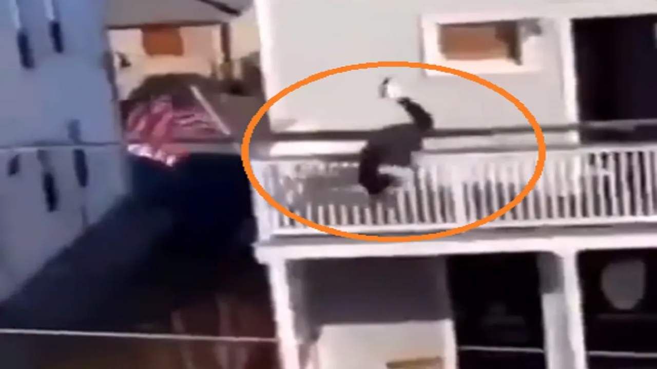 Viral: કેચ પકડવાના ચક્કરમાં છત પરથી નીચે પડ્યો શખ્સ, વીડિયો જોઈ હસવું નહીં રોકી શકો