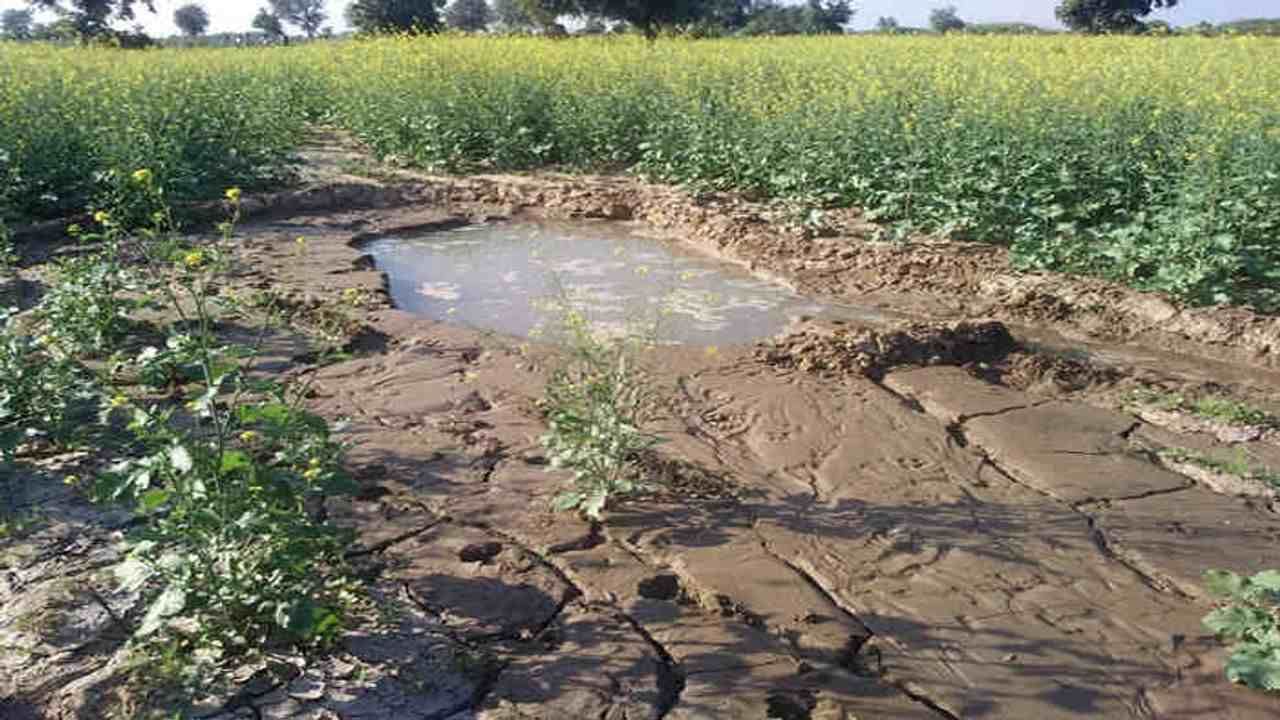 Chhota Udepur: સુવિધા માટે ઉભી કરાયેલી કેનાલો જ ખેડૂતો માટે આફતરૂપ બની, કેનાલોમાં ગાબડા થતા પાણી ખેતરોમાં ઘૂસ્યા