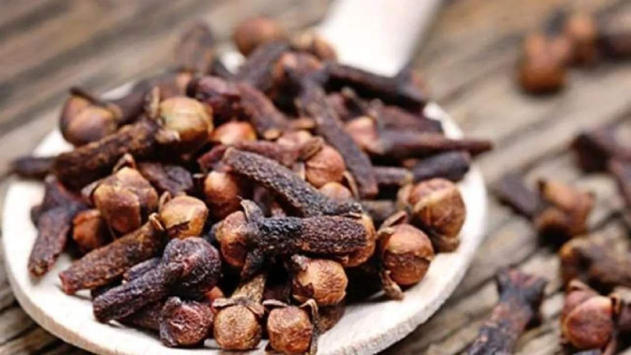 Clove Cultivation: લવિંગની ખેતીમાંથી ખેડૂતો કરી શકે છે સારી કમાણી, બજારમાં રહે છે હંમેશા માગ