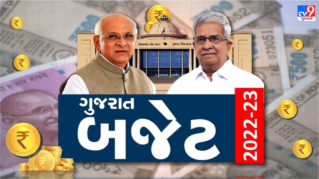 આદિજાતિ વિકાસ વિભાગ માટે રૂ. 2909 કરોડની જોગવાઇ કરવામાં આવી