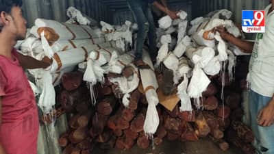 Kutch : મુન્દ્રા પોર્ટ પરથી DRI એ રૂપિયા 9.36 કરોડની કિંમતનું રકતચંદન જપ્ત કર્યું, આવી હતી મોડસ ઓપરેન્ડી