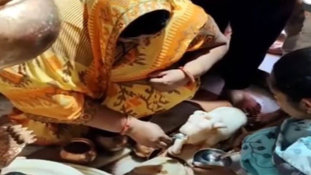 Dahod : શિવાલયોમાં નંદી પાણી અને દૂધ પીતા હોવાની અફવા ફેલાઈ, લોકોની ભારે ભીડ