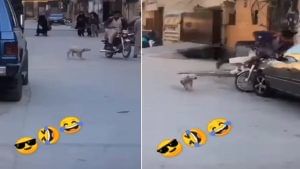 Funny: બાઈક પર જઈ રહેલા શખ્સને કૂતરાએ એવો દોડાવ્યો કે કાર સાથે ઝીંક્યુ બાઈક, વીડિયો જોઈ હસવુ નહીં રોકી શકો