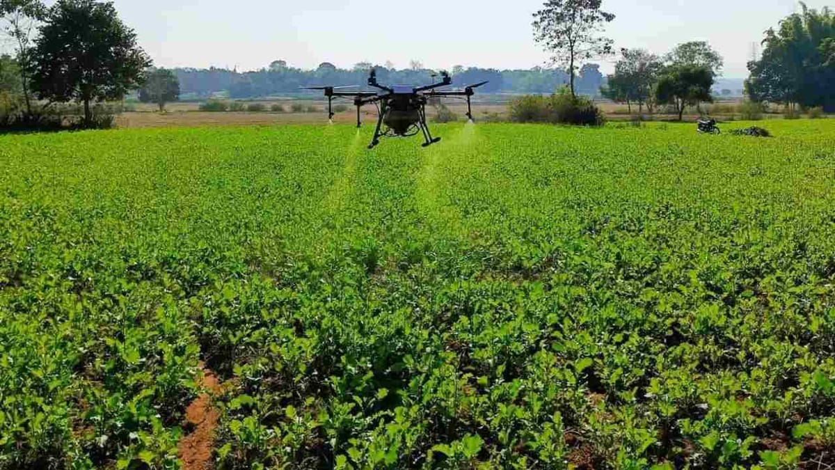 Agriculture Drone : ખેતીમાં ડ્રોનના ઉપયોગને લીલી ઝંડી, હવે CHCમાં અન્ય કૃષિ સાધનો સાથે જોડાશે Agriculture Drone : ખેતીમાં ડ્રોનના ઉપયોગને લીલી ઝંડી, હવે CHCમાં અન્ય કૃષિ સાધનો સાથે જોડાશે