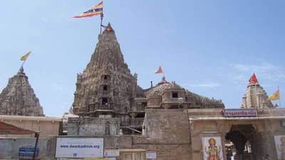 Dwarka : ફૂલડોલ મહોત્સવની તૈયારીઓ અંતિમ તબક્કામાં, ભક્તોનું ઘોડાપૂર ઉમટ્યુ