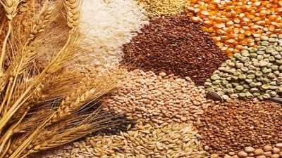 ફેબ્રુઆરીમાં વૈશ્વિક ખાદ્યપદાર્થોના ભાવ વિક્રમી ઊંચાઈએ પહોંચ્યા, એક વર્ષમાં 21 ટકા વૃદ્ધિ: FAO