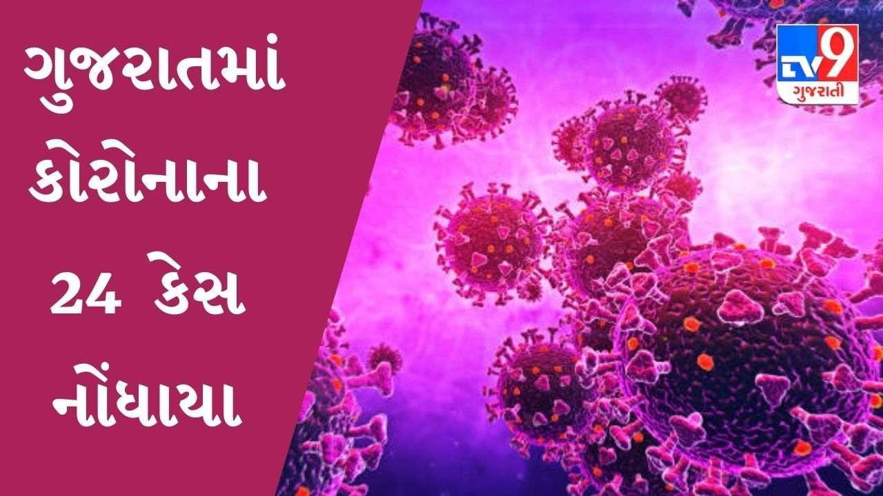 ગુજરાતમાં કોરોનાના નવા 24 કેસ નોંધાયા, 53 દર્દીઓ સાજા થયા