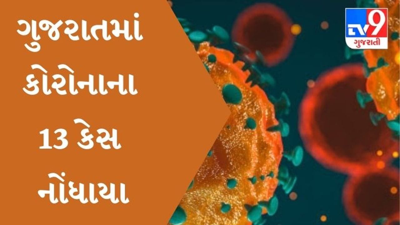 ગુજરાતમાં કોરોનાના નવા 13 કેસ નોંધાયા, 26 દર્દીઓ સાજા થયા