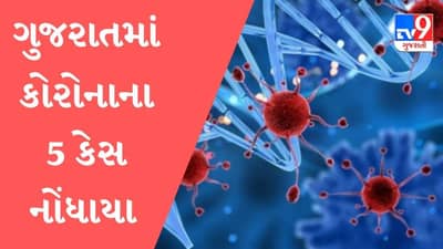 ગુજરાતમાં કોરોનાના માત્ર પાંચ કેસ નોંધાયા, 89 દર્દીઓ સાજા થયા