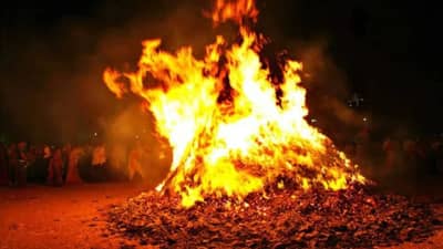 Holi 2022 : હોલિકા દહન કરતી વખતે આ વૃક્ષોના લાકડા બાળવા જોઈએ નહીં, જાણો શું છે તેની પાછળનુ કારણ