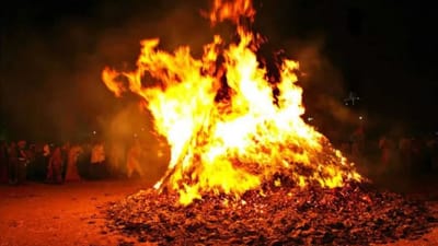 Holi 2022 : હોલિકા દહન કરતી વખતે આ વૃક્ષોના લાકડા બાળવા જોઈએ નહીં, જાણો શું છે તેની પાછળનુ કારણ