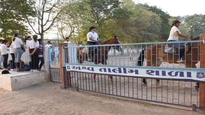 Vadodara: પ્રજા અને પોલીસ વચ્ચે સેતુ બાંધવા માટેનો નવો અભિગમ, પોલીસની માઉન્ટેડ શાખા આપી રહી છે ઘોડેસવારીની તાલીમ