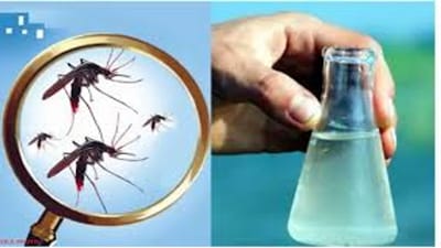 Ahmedabad: ઉનાળાની શરુઆતમાં જ શહેરમાં રોગચાળો ફાટ્યો, પાણી અને મચ્છરજન્ય રોગમાં વધારો