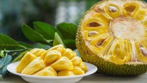 Health Benefits Of Jackfruit: સ્વાસ્થ્ય માટે ખૂબ જ ફાયદાકારક છે જેકફ્રુટ, જાણો તેમાંથી કઈ ખાસ વાનગી બનાવી શકાય છે