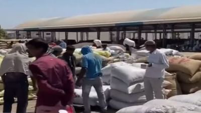 Jamnagar : હાપા માર્કેટ યાર્ડમાં ધાણાની મબલખ આવક, માર્કેટ યાર્ડ એક સપ્તાહ બંધ રાખવાનો નિર્ણય