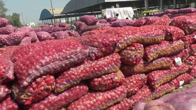 Jamnagar: હાપા માર્કેટીંગ યાર્ડમાં ધાણા-ડુંગળીની મબલખ આવક પણ ખેડૂતોને નુકસાન