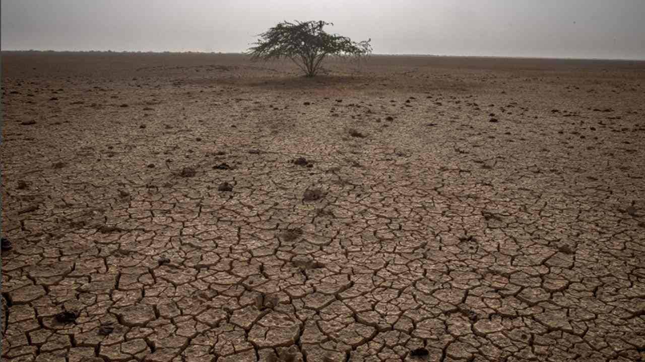 Junagadh : અપૂરતા વીજ પૂરવઠાથી ખેડૂતો પરેશાન, PGVCLના ઈજનેરને નોટિસ ફટકારી વળતરની માંગ કરી