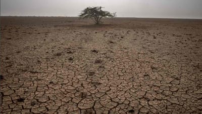 Junagadh : અપૂરતા વીજ પૂરવઠાથી ખેડૂતો પરેશાન, PGVCLના ઈજનેરને નોટિસ ફટકારી વળતરની માંગ કરી Junagadh : અપૂરતા વીજ પૂરવઠાથી ખેડૂતો પરેશાન, PGVCLના ઈજનેરને નોટિસ ફટકારી વળતરની માંગ કરી