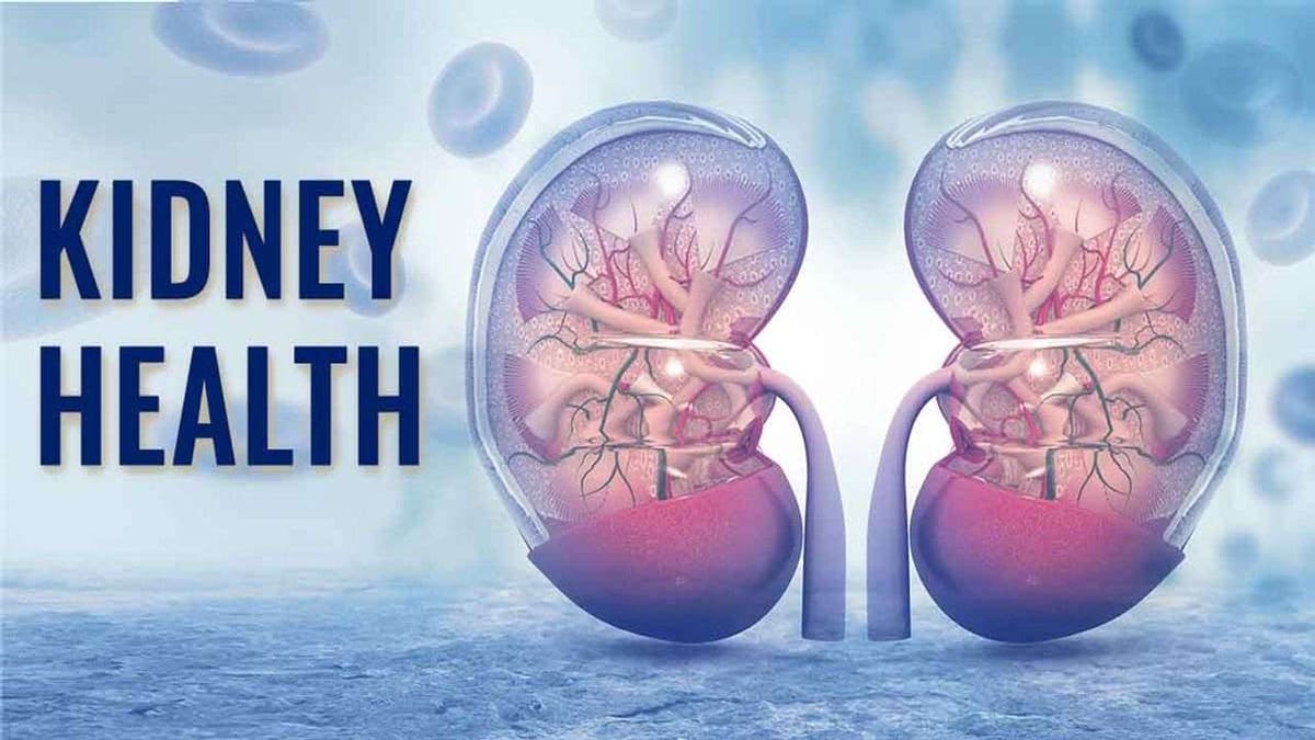Kidney Health: કિડનીની ગંદકી દૂર કરવા અને કિડનીને સ્વસ્થ રાખવા આ આસાન ઉપાય અજમાવી જુઓ