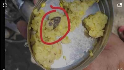 સ્કૂલમાં પીરસવામાં આવેલી ખીચડીમાં ગરોળી! 40 વિદ્યાર્થીઓ ફૂડ પોઈઝનિંગનો બન્યા શિકાર, શાળામાં પહોંચી ડોક્ટરોની ટીમ