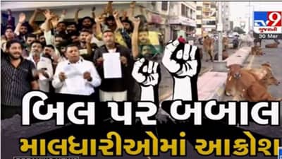 Rajkot : રખડતા ઢોર મામલે સરકાર કાયદો લાવે તે પહેલા માલધારી સમાજે નોંધાવ્યો વિરોધ, પહેલા વૈકલ્પિક વ્યવસ્થા કરવાની માગ