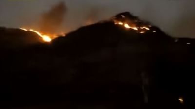 Amreli: સિંહોનું ઘર એવા મિતિયાલા અભ્યારણ્યની બોર્ડર નજીક ડુંગર વિસ્તારમાં લાગી ભીષણ આગ, વન વિભાગ દોડતુ થયુ