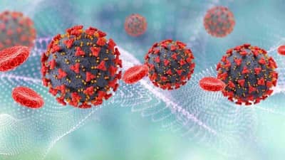 Maharashtra Corona Reports : ફરી વધી કોરોનાની રફ્તાર, ઓમિક્રોનના પણ નોંધાયા 104 કેસ