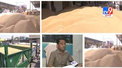 Sabarkantha, Aravalli: ઘઉંના ટેકાના ભાવમાં વધારો છતાં રજીસ્ટ્રેશનમાં નિરસતા, ગત સિઝનના પ્રમાણમાં માંડ 10 ટકા નોંધણી