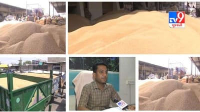 Sabarkantha, Aravalli: ઘઉંના ટેકાના ભાવમાં વધારો છતાં રજીસ્ટ્રેશનમાં નિરસતા, ગત સિઝનના પ્રમાણમાં માંડ 10 ટકા નોંધણી