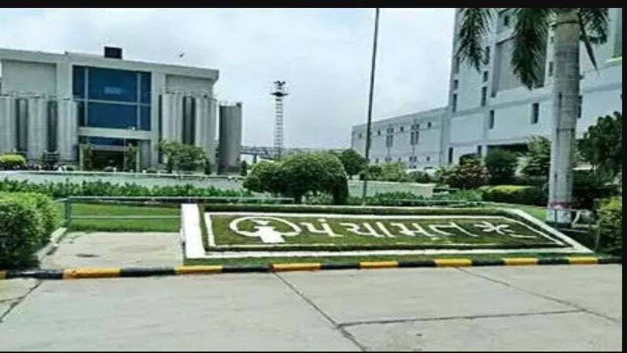 Panchmahal : પંચામૃત ડેરીએ પશુપાલકોને ભેટ આપી, દૂધના ખરીદ ભાવમાં કિલો ફેટ દીઠ રૂપિયા 20 નો વધારો કર્યો