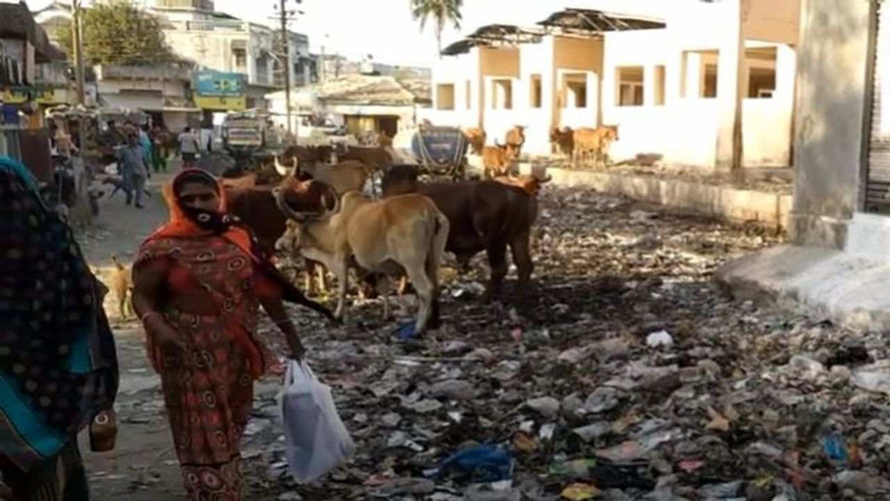 Rajkot: ધોરાજીમાં સ્વચ્છ ભારત અભિયાનના ધજાગરા, ઠેર ઠેર ગંદકી અને કચરાના ઢગલાથી લોકો ત્રસ્ત