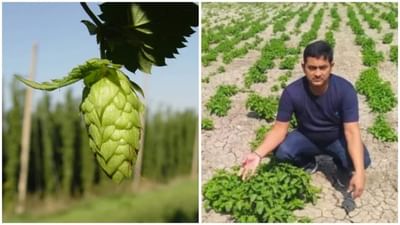 Success Story: આ પ્રગતિશીલ ખેડૂતે કરી દુનિયાના સૌથી મોંઘા શાકભાજીની ખેતી, કિંમત જાણી ચોંકી જશો