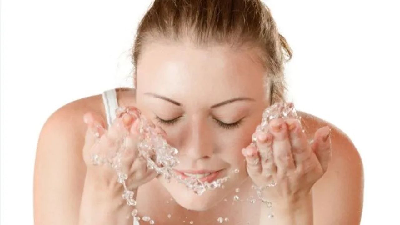 Skin Care Tips : ત્વચાની કાળજી માટે કરો આ કુદરતી ઘટકોનો ઉપયોગ 