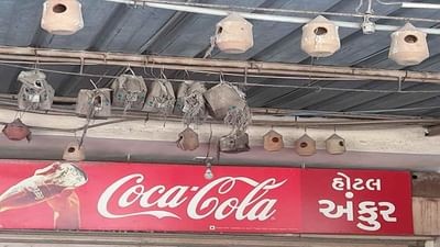 World Sparrow Day: જેતપુરના હોટેલના માલિકનો અનોખો ચકલી પ્રેમ, 25 વર્ષથી ચકલીઓની રાખે છે સંભાળ, જાણો તેમની સંભાળ માટે શુ કરે છે