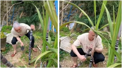 Viral: શખ્સે ગજબનો દિમાગ લગાવી કરી શેરડીની ચોરી, લોકોએ કહ્યું 'આઈન્સટાઈન કરતા પણ તેજ બુદ્ધિ છે'