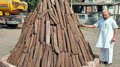 Holi 2022 : સુરતમાં વૈદિક હોળીનો વધ્યો ટ્રેન્ડ, હોલિકા દહન માટે ગોબર સ્ટીકનું છ ગણું ઉત્પાદન