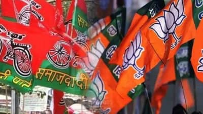 લો બોલો, ઉતરપ્રદેશના નવા ધારાસભ્યોમાંથી 51 ટકા સામે છે કેસ, જાણો કયા પક્ષના કેટલા ધારાસભ્યો સામે નોંધાયેલા છે ગંભીર કેસ