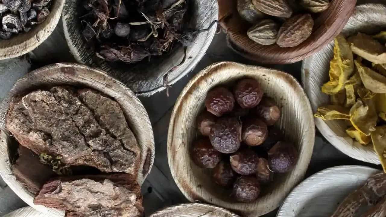 Cabinet Decision: કેબિનેટે ગુજરાતના જામનગરમાં WHO GCTMની સ્થાપનાને આપી મંજૂરી, મળશે આ લાભ